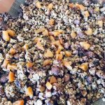 Granola Amande Abricot Sec 10 150x150