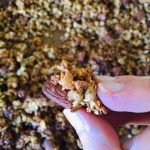Granola Amande Abricot Sec 7 150x150