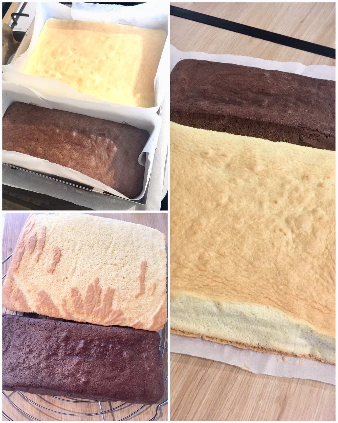 Napolitain 5