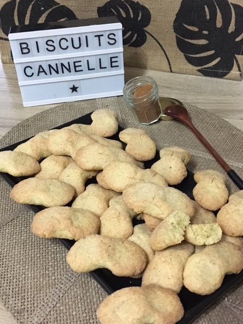 Papillons Cannelle 12