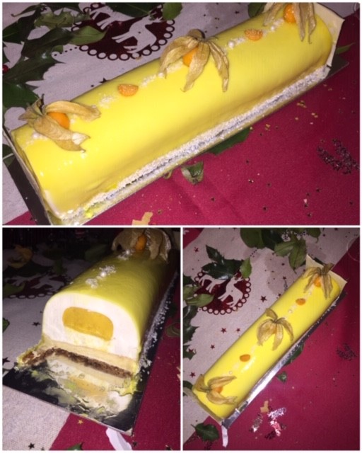 Bûche Entremet Vanille Coco Passion 15