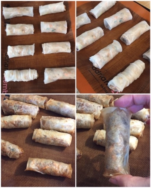 Nems au Tempeh 5