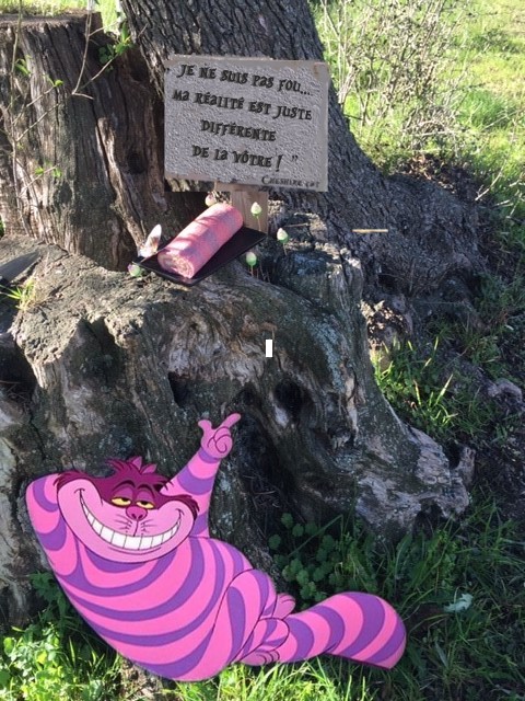 Roulé du Cheshire Cat 30