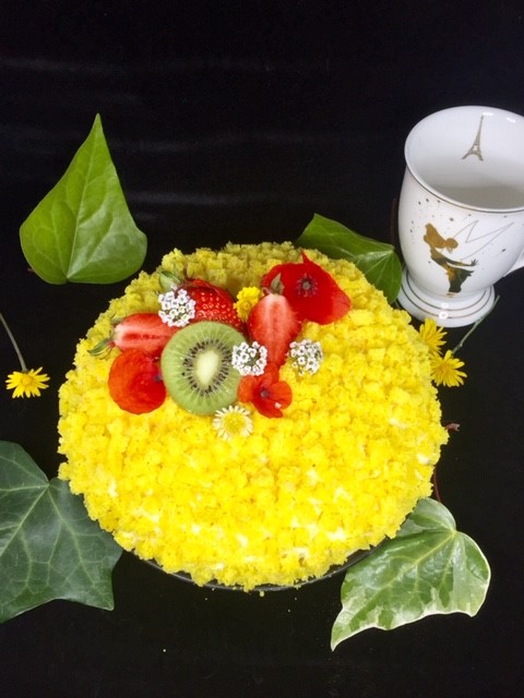 Le Jardin Mimosa de Clochette 19