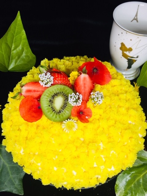 Le Jardin Mimosa De Clochette 30