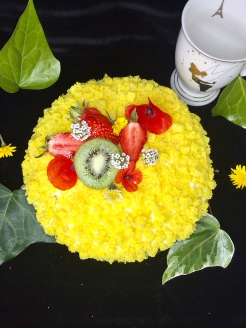 Le Jardin Mimosa de Clochette 32