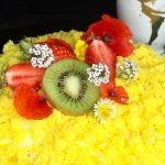 Le Jardin Mimosa De Clochette 35 150x150