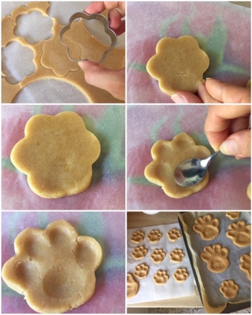 Pattes Sablees Simba 4