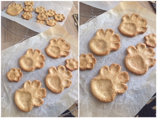 Pattes Sablées Simba 5