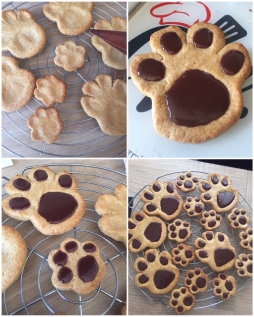 Pattes Sablées Simba 7