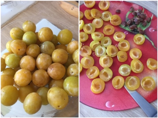 Tarte Rustique aux Mirabelles 2