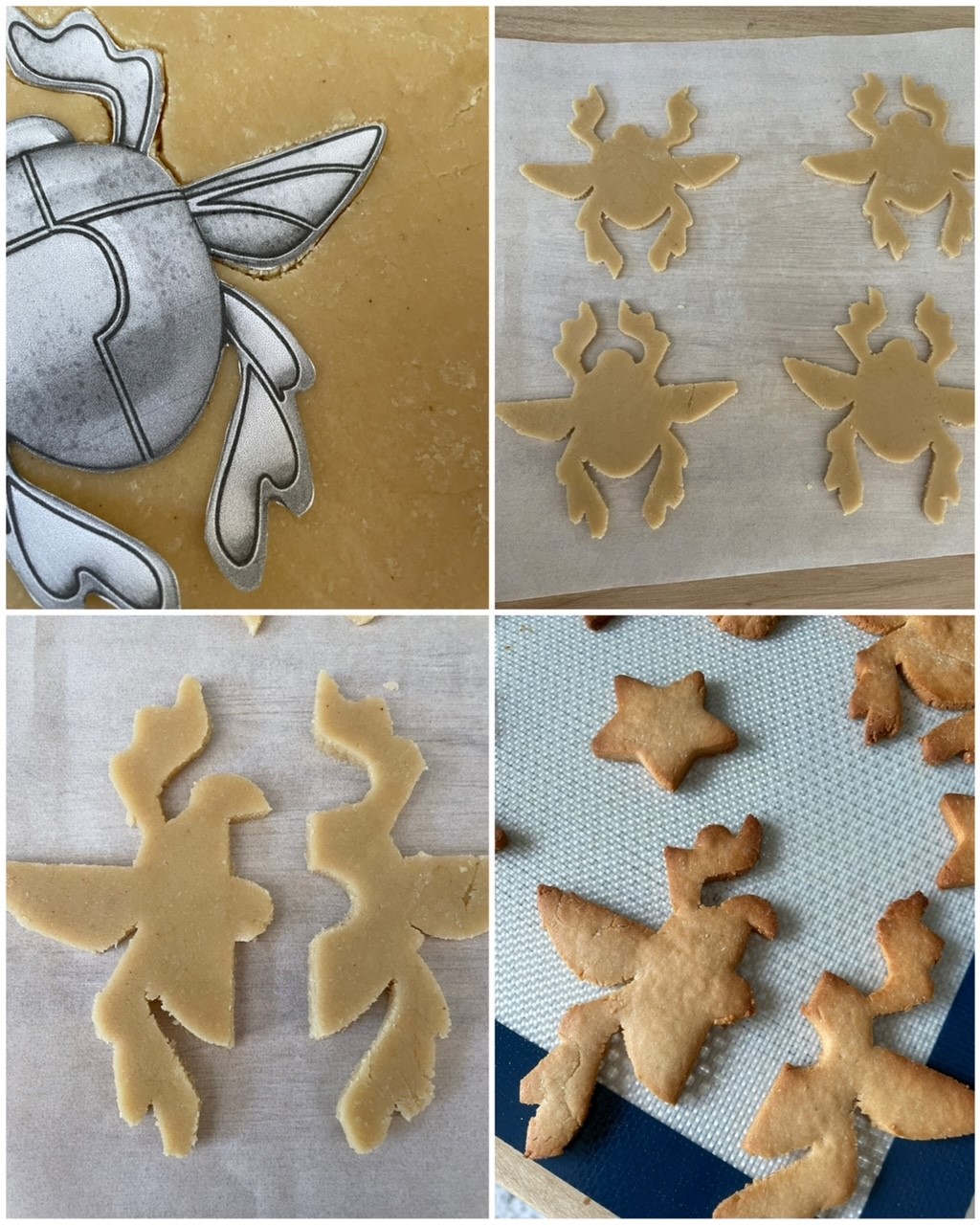 Scarabée 1