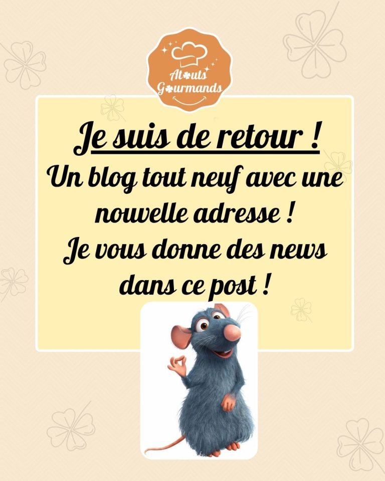 Je suis de retour... le blog je suis de retour